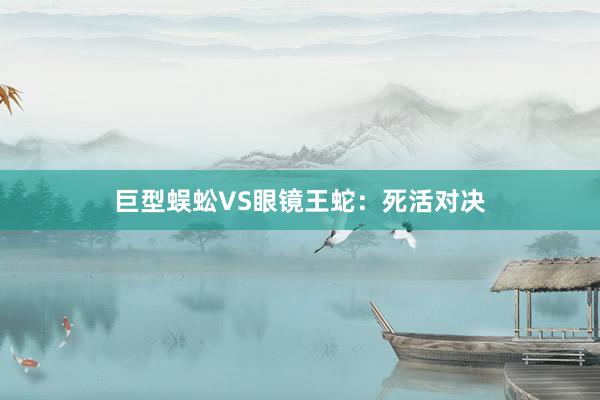 巨型蜈蚣VS眼镜王蛇：死活对决